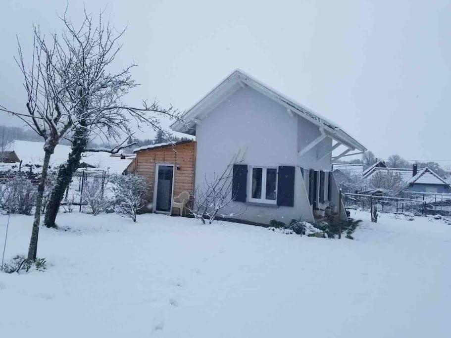 Gite Le Charmot, Au Pied Des Montagnes Classe 3* Roderen Buitenkant foto
