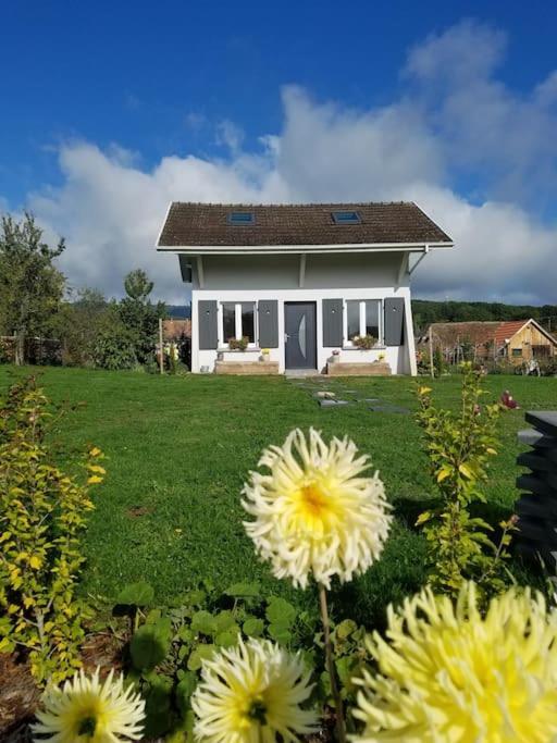 Gite Le Charmot, Au Pied Des Montagnes Classe 3* Roderen Buitenkant foto