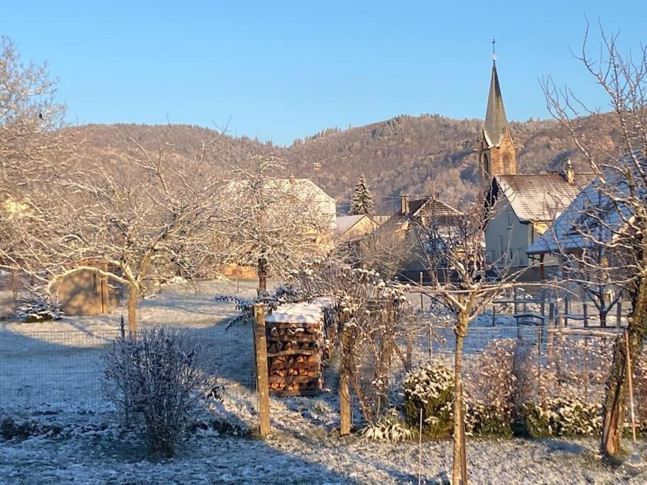 Gite Le Charmot, Au Pied Des Montagnes Classe 3* Roderen Buitenkant foto