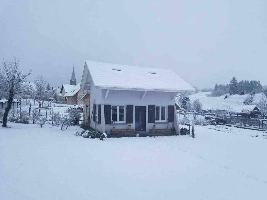 Gite Le Charmot, Au Pied Des Montagnes Classe 3* Roderen Buitenkant foto