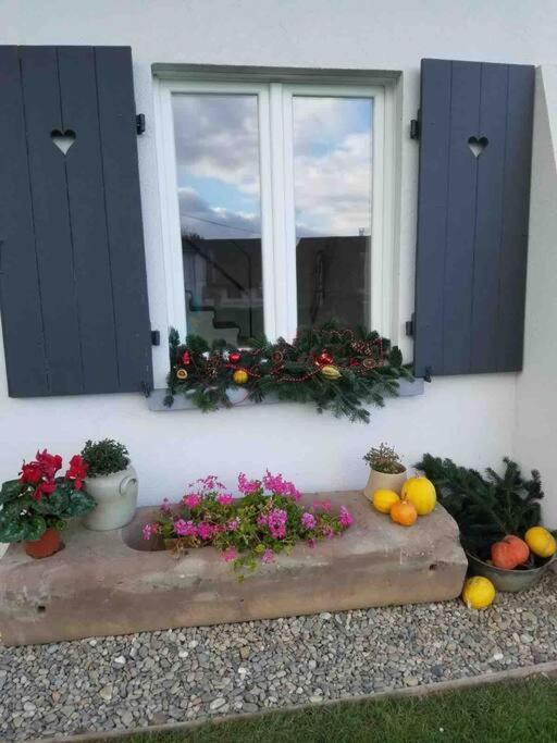 Gite Le Charmot, Au Pied Des Montagnes Classe 3* Roderen Buitenkant foto